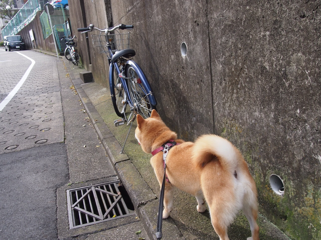 从洛杉矶弃子到纽约救世主,杜兰特亲手埋葬湖人王朝,尼克斯的逆袭密码
